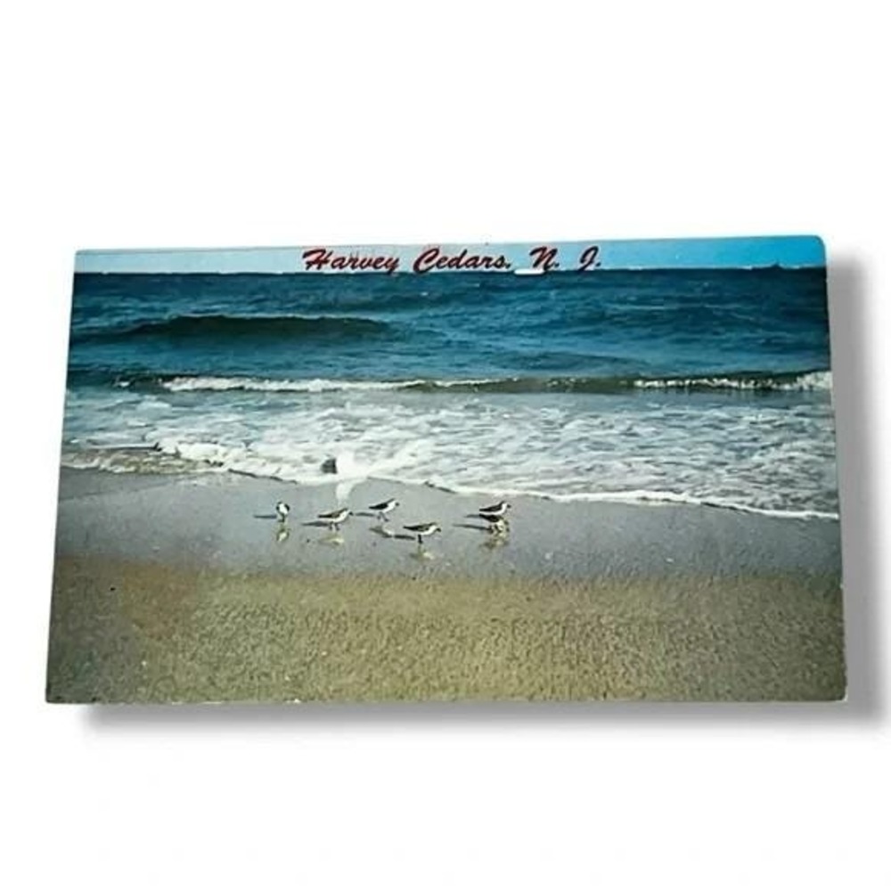 Postcard Sandpipers at Waters Edge Harvey Cedars New Jersey Chrome Card C342